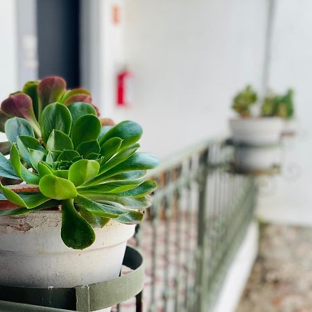 Kuku Ruku Hotel Queretaro Luaran gambar