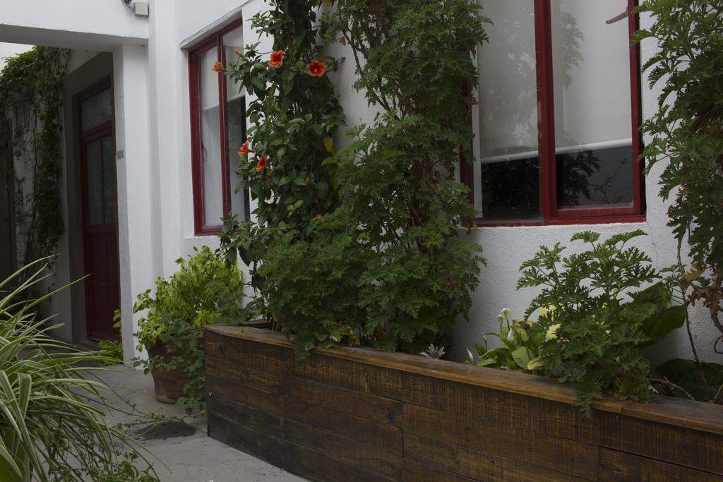Kuku Ruku Hotel Queretaro Luaran gambar