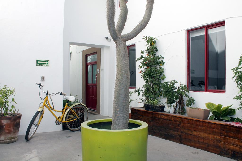 Kuku Ruku Hotel Queretaro Luaran gambar